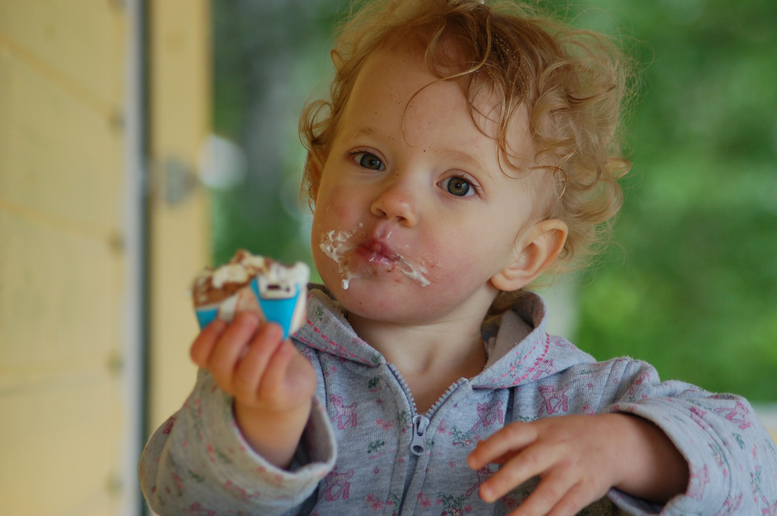 Pikku Sisukas Pes puu Pikku Sisukas Pes puu