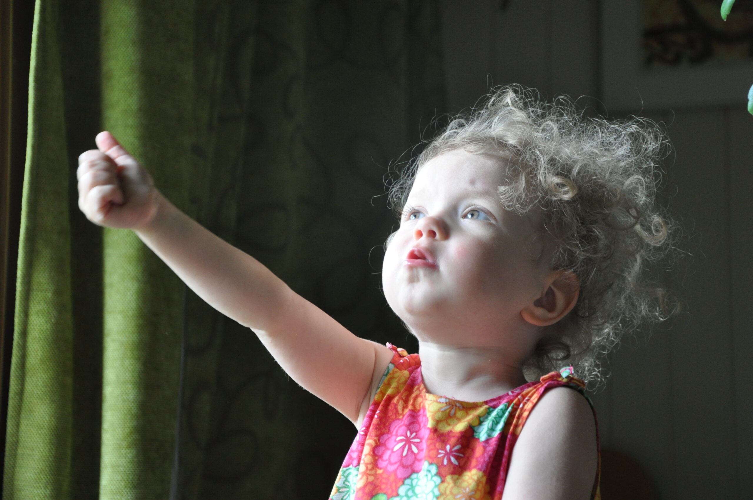 Pikku Sisukas Pes puu Pikku Sisukas Pes puu